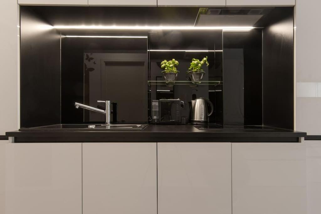 Gorgeous Central Flat With Garage Ljubljana Exteriör bild